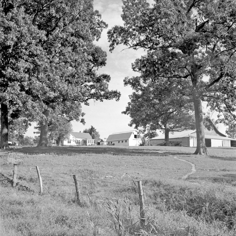 102_Dairy farmers increased production... (1951).jpg